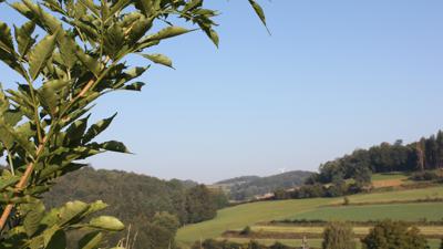Wanderweg Nr. 5 „Nach Reittern“