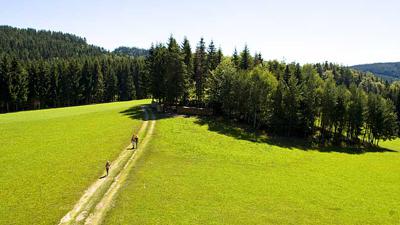 Wanderweg Römerweg