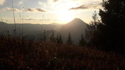 Wastl – Anna-Alm