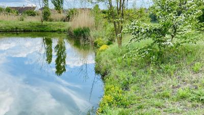 Watzelsdorfer Wasserwelt-Weg