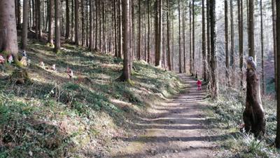 Zwergerlweg