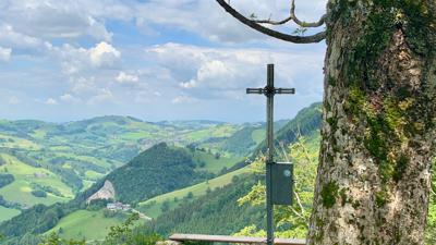 natur.BANK.wege | Großraming | Haingrabeneck | 446301