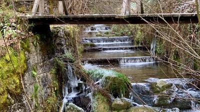 natur.BANK.wege | Losenstein | Mitterschiffthaler | 446005/07