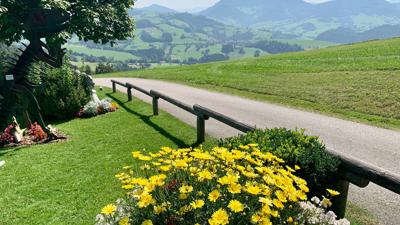natur.BANK.wege | Maria Neustift | Glasenberg | 444302