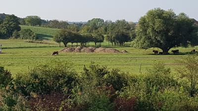 »tut gut« Wanderweg Bad Pirawarth | Route 2