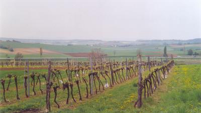 »tut gut« Wanderweg Gaweinstal | Route 1