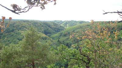 »tut gut« Wanderweg Pulkau | Route 3