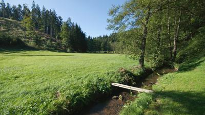 Öko-Dorf-Weg, Nr. 91