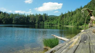 Über das Hochmoor Wildmoos zum Eibensee