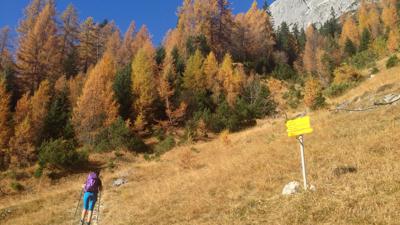 Über den Hintereggensteig zur Neuen Alplhütte