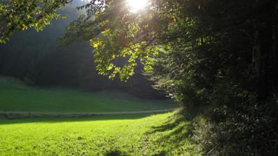 Über den Kugelberg und das Felsenbad zum Plaik Rundwanderweg