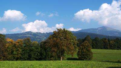 Bad Vigaun – Broswirt-Route (4 Punkte)