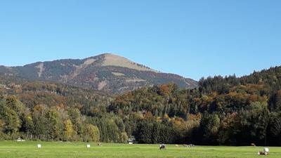 Bad Vigaun – Wanderung auf den Schlenken (10 Punkte)