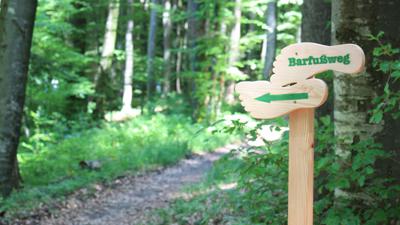 Barfußwanderung um den Ibmer See