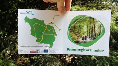 Baumenergieweg Panholz