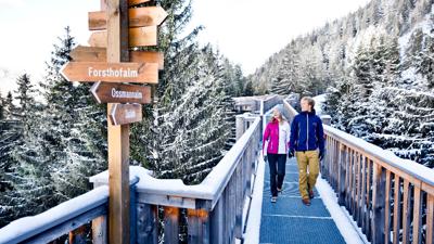 Baumzipfelweg – Golden Gate Bridge der Alpen – Waldlehrpfad