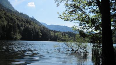 BergeSeen Trail 11: Strobl – Bad Ischl