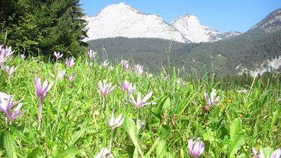 BergeSeen Trail 19: Tauplitzalm – Gößl