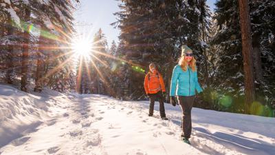 Panorama-Winterwanderweg