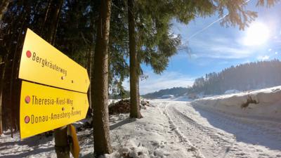 Bergkräuterweg
