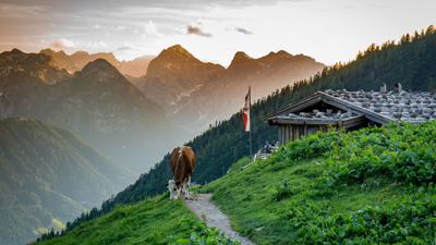 Bergstation Rofan Seilbahn – Dalfaz Alm – Bergstation Rofan Seilbahn