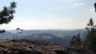 Bergsteinmauer-Hackstock Nr. 28