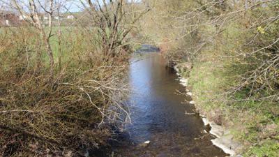 Auen-Runde Rainwanderung