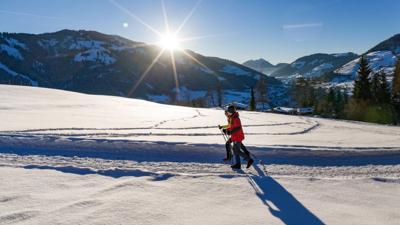 Rund um das Wildgehege