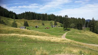 Auf den Faistenauer Schafberg