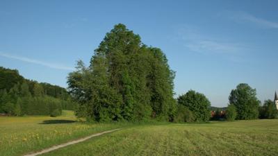 Auf der Landschaftsspur Hof erkunden
