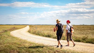 BERNSTEIN TRAIL Ostroute | Etappe 2 | Neusiedl am See – Frauenkirchen