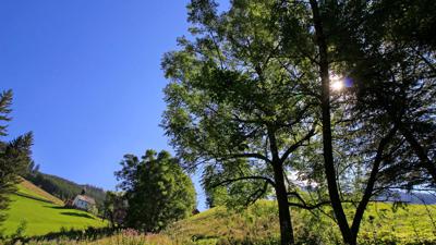 Berwang – Hubertus Rundweg
