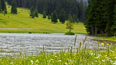 Berwang – Spazierweg nach Rinnen