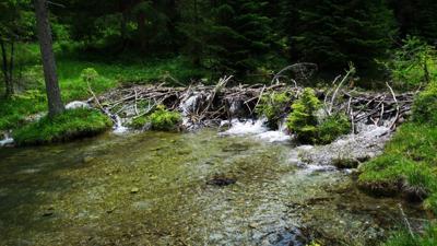 Biberwier – 3 Seen Wanderung