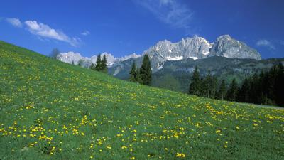Bichlach-Runde
