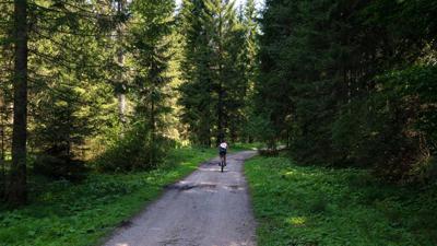 Biketour Nr. 541 Katzenkopf-Fluder
