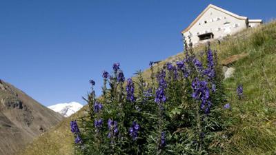 Martin Busch Hütte – Saykogel – Hochjoch Hospiz