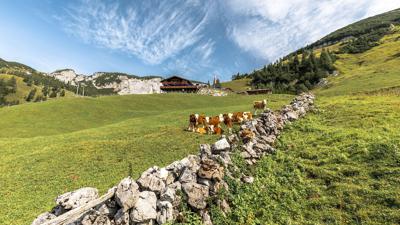 Maurach – Dalfaz Alm – Dalfazer Wasserfall – Maurach