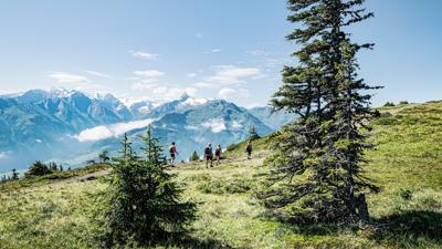 Maurerkogel/Rohrertörl