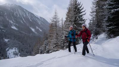 Schweinfurter Hütte – Niederthai 322