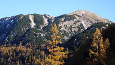 Schönberg (Wildenkogel) (2090 m)