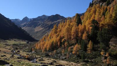 Schöngampalm – Brunnenjoch über Urgtalweg – Fisser Joch