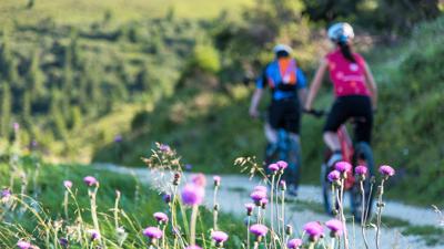 MTB 10 – Rundtour Bischofeck