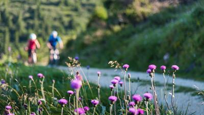 MTB 12 – Saualpen Aussichtsrundtour – St. Andrä