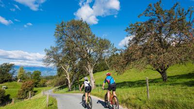 MTB 7 – Limberger Aussichtsrundtour – St. Gertraud/Frantschach