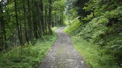 MTB: Hallein – Truckenthannalm