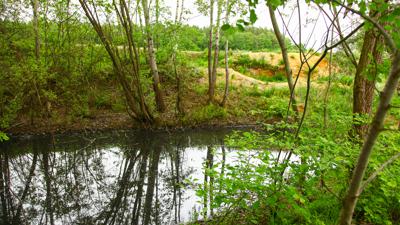 Themenweg G3A: Kleiner Rundgang – Gallinger Höhenweg Biotop