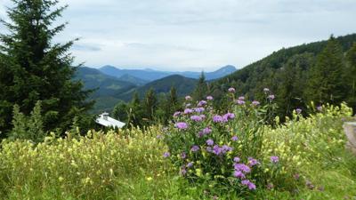 Tirolerkogel, der Voralpen-Klassiker
