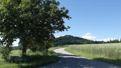 Toberspitzweg mit Einsielerstein und Stichweg 04a zum Kleinen Wackelstein