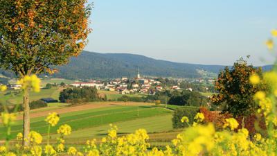 Torfaurunde